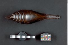 Foto (oben) von Riesenschnecke 2 (NHMW-ZOO-MO-0081100-ETH-128)